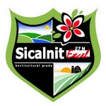 logo-sicalnit-excel-27-n
